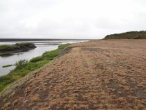 Gróinn lækjarbakki og Sandá við jaðar námu