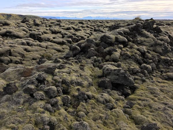 Mosabreiða í Skaftáreldahrauni. (Ljósm. Gunnar Bjarnason)