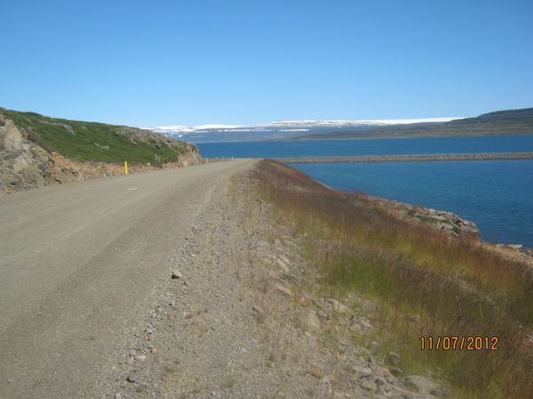 Gras í vegkanti í Heydal í Ísafjarðardjúpi. (Ljósm. Matthildur B. Stefánsdóttir).