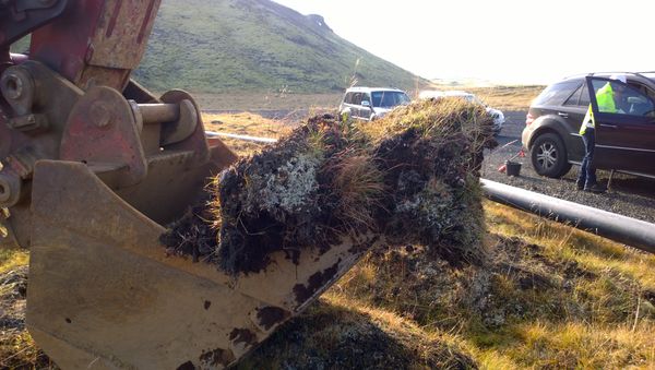 Gróðurtorfur teknar upp í upphafi framkvæmda. (Ljósm. Magnea Magnúsdóttir).