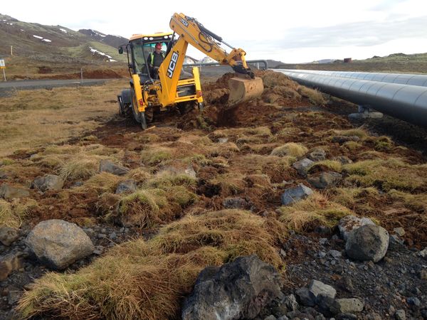 Gróðurtorfur endurlagðar til frágangs eftir framkvæmdir á Hellisheiði. (Ljósm. Magnea Magnúsdóttir).