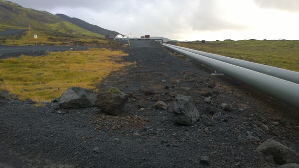 Raskað svæði á Hellisheiði. (Ljósm. Magnea Magnúsdóttir).