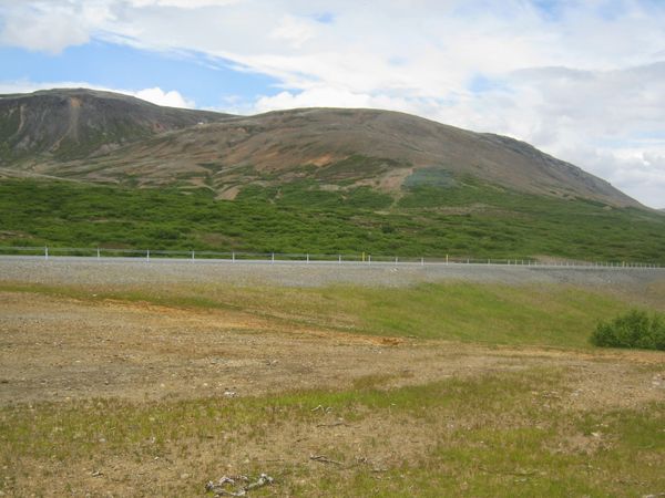 Grassáning við Lyngdalsheiðarveg. (Ljósm. Matthildur B. Stefánsdóttir).