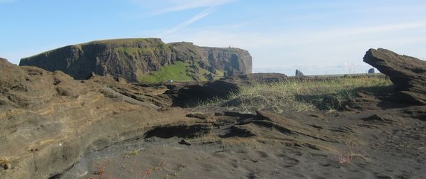 Melgresi við Dyrhólaeyjarveg. (Ljósm. Matthildur B. Stefánsdóttir).